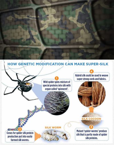 Silkworm and Spider inspired body armor